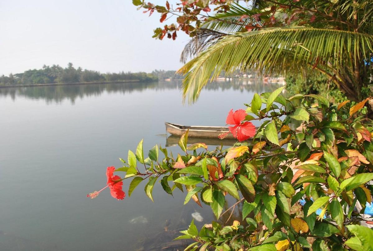 M Aples Jacks Place GOA Exterior foto